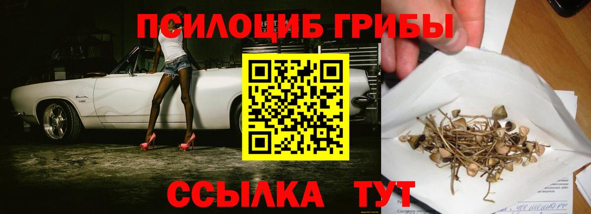 Псилоцибиновые грибы мухоморы  Галлюциногенные грибы GOLDEN TEACHER  Вход с VPN  Новоалександровск 